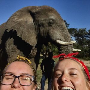 Meet your Posher, Sandy